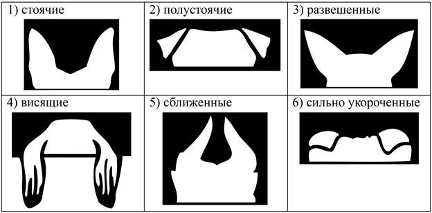 ОГЭ по биологии